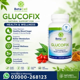 Glucofix Tablets Price in Pakistan